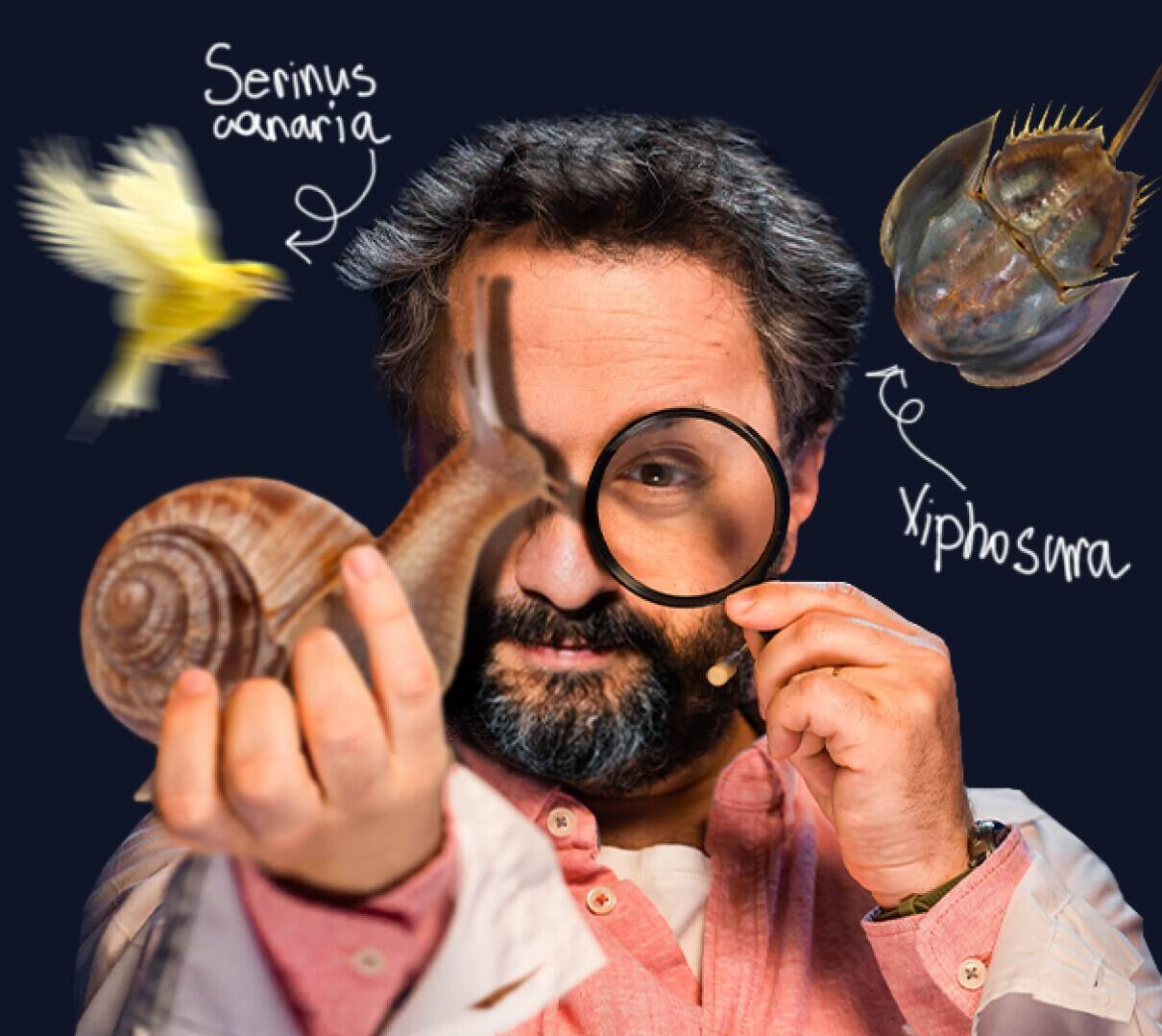 Илья Колмановский