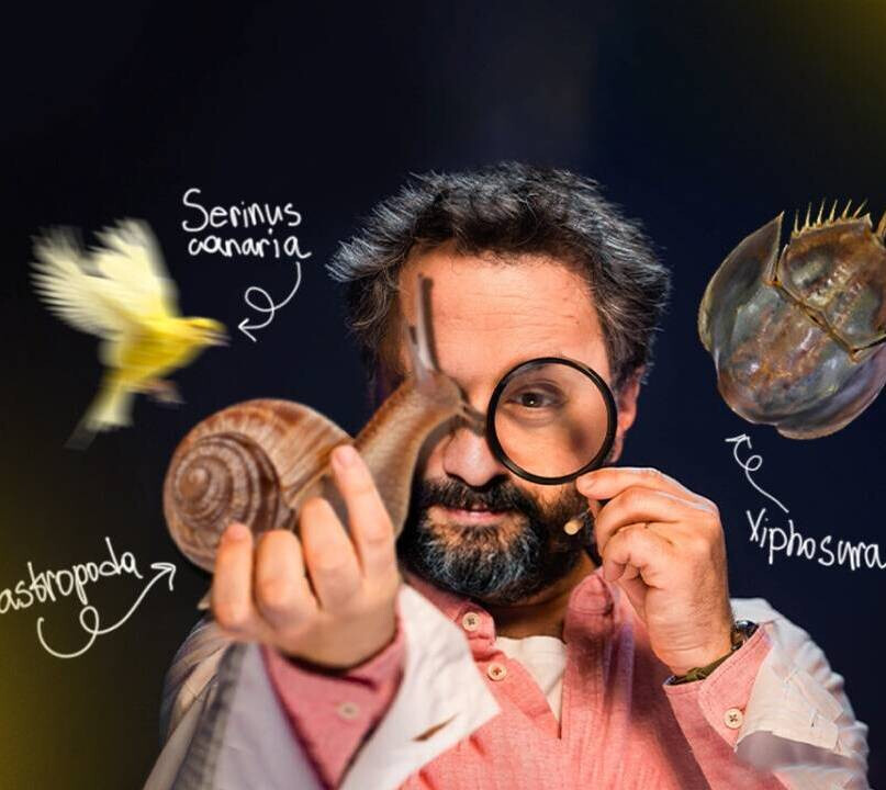 Илья Колмановский